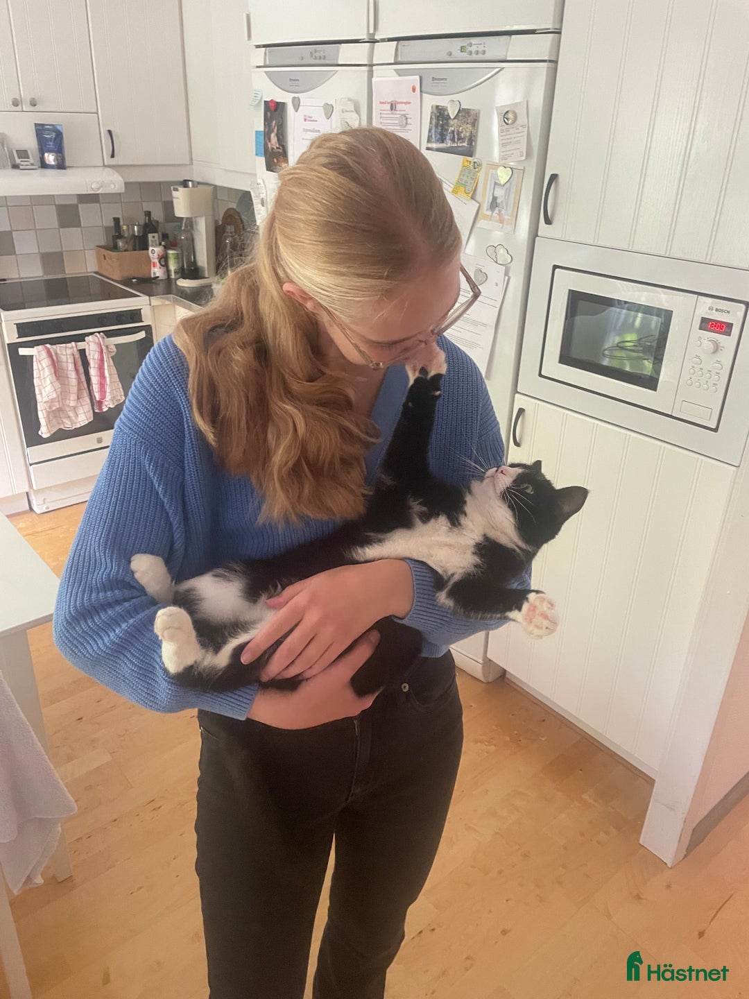 Galleribild {{count}}