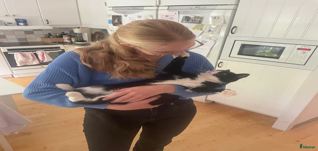 Galleribild {{count}}