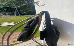 Övrig Hästutrustning hästutrustning till salu: Ryktsaker/paddar/benskydd mm i Trollhättan - Bild 7