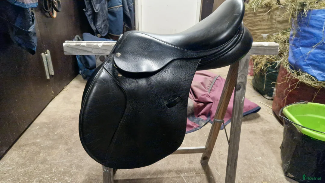 Sadlar hästutrustning till salu: Frank Baines Elan - Annons 1
