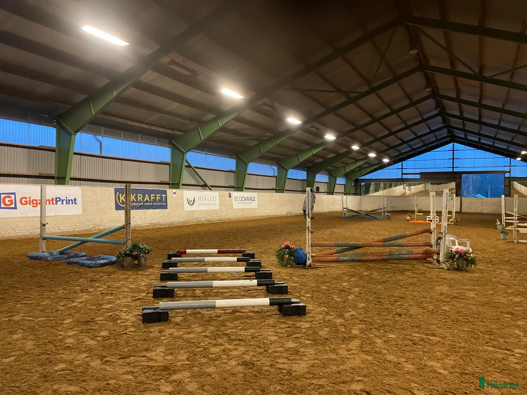  stallplats finnes: Ledig stallplats, Norrköping  - Annons 2
