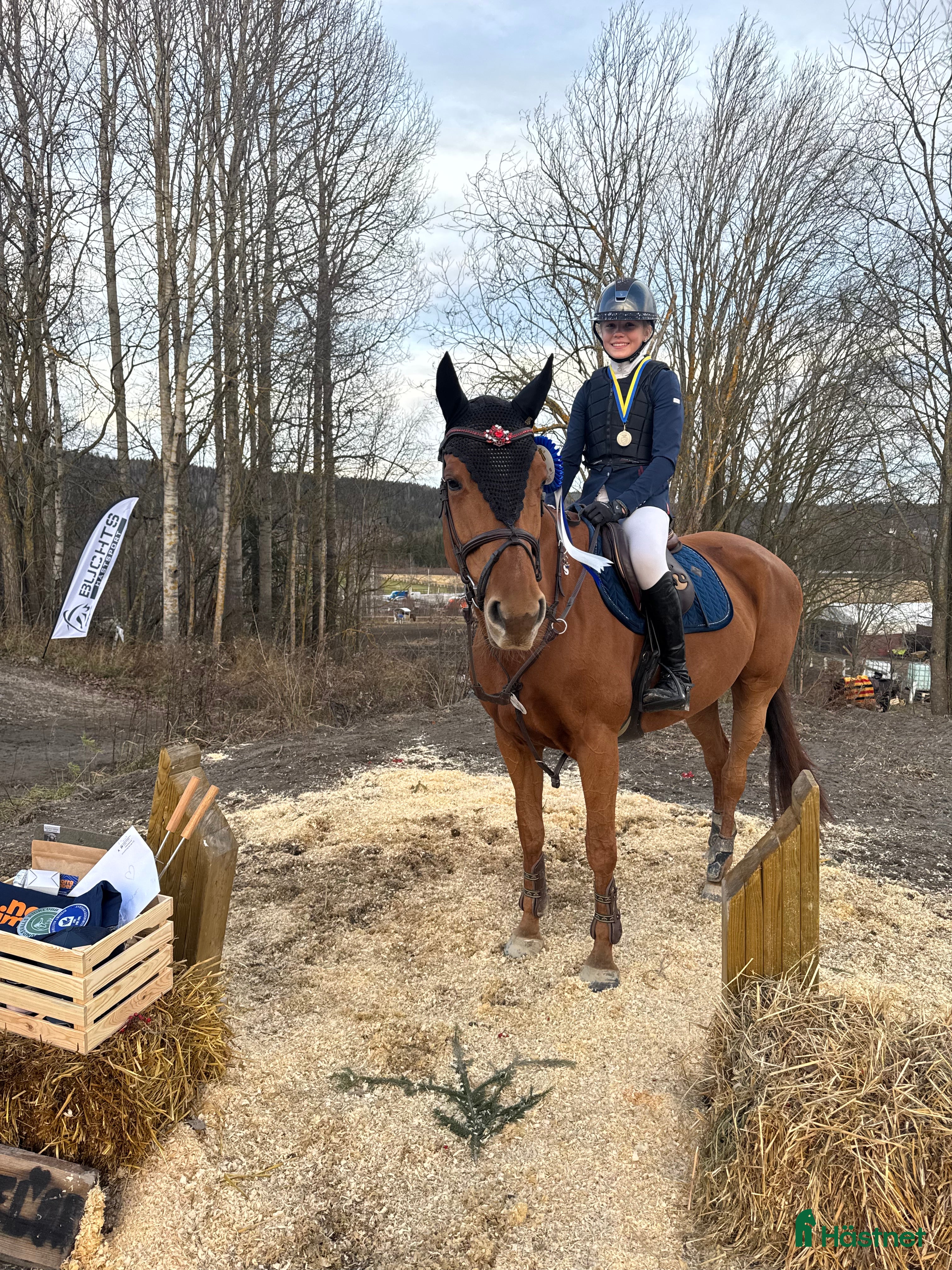  hästar Unik tävlingshäst i Alvesta - Annons 3