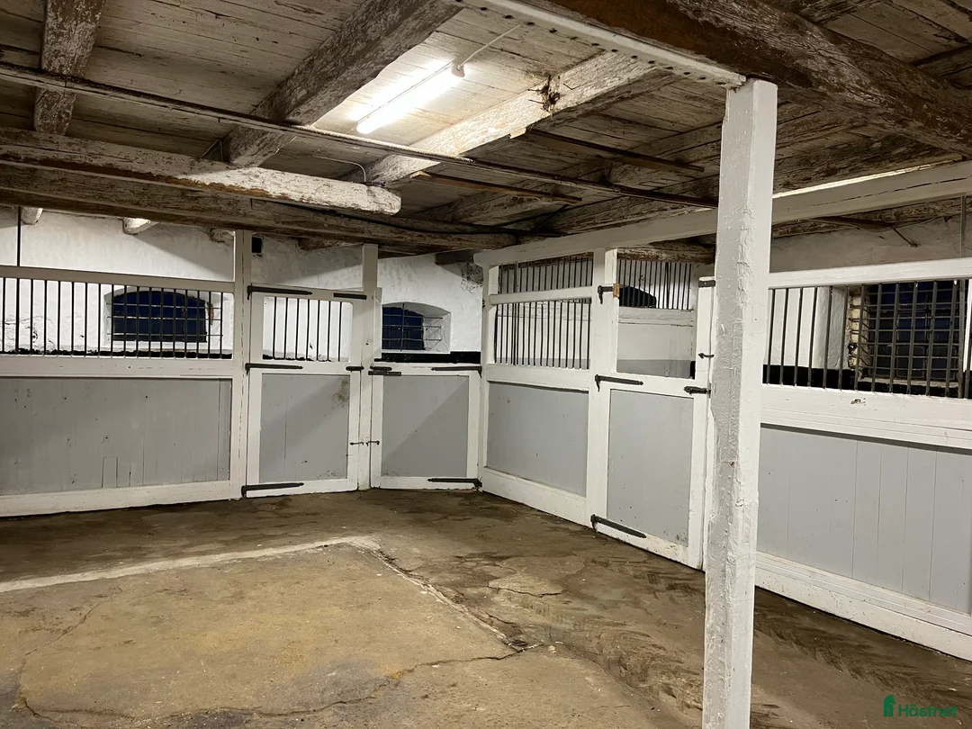  stallplats finnes: Stallplats Eslöv med service i Eslöv - Annons 6