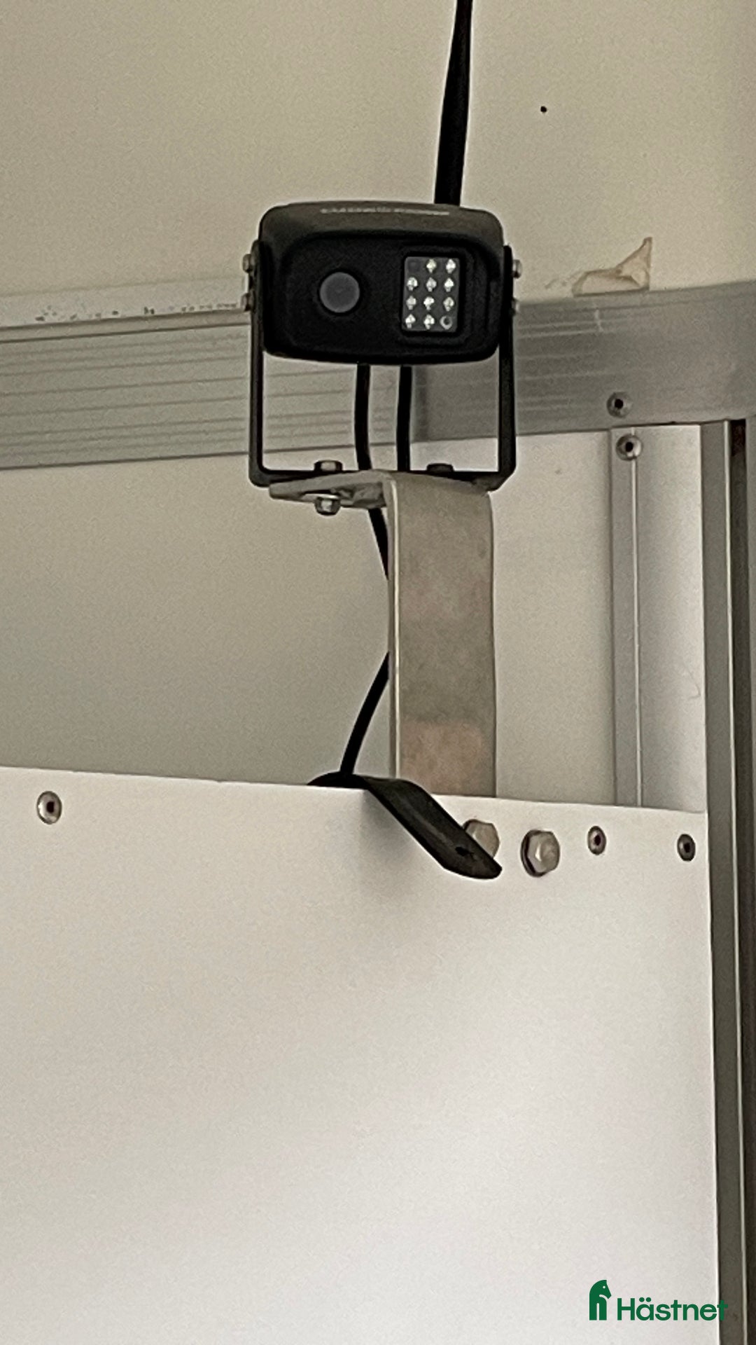 Hästtransporter  fordon & transport till salu: Umesläp BB60 i Hedemora - Annons 4