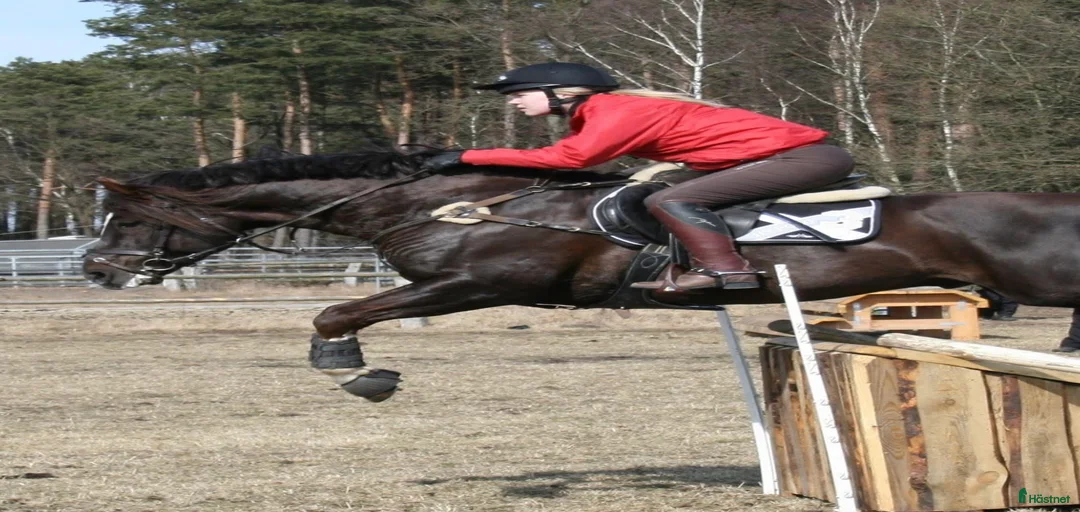 Galleribild {{count}}