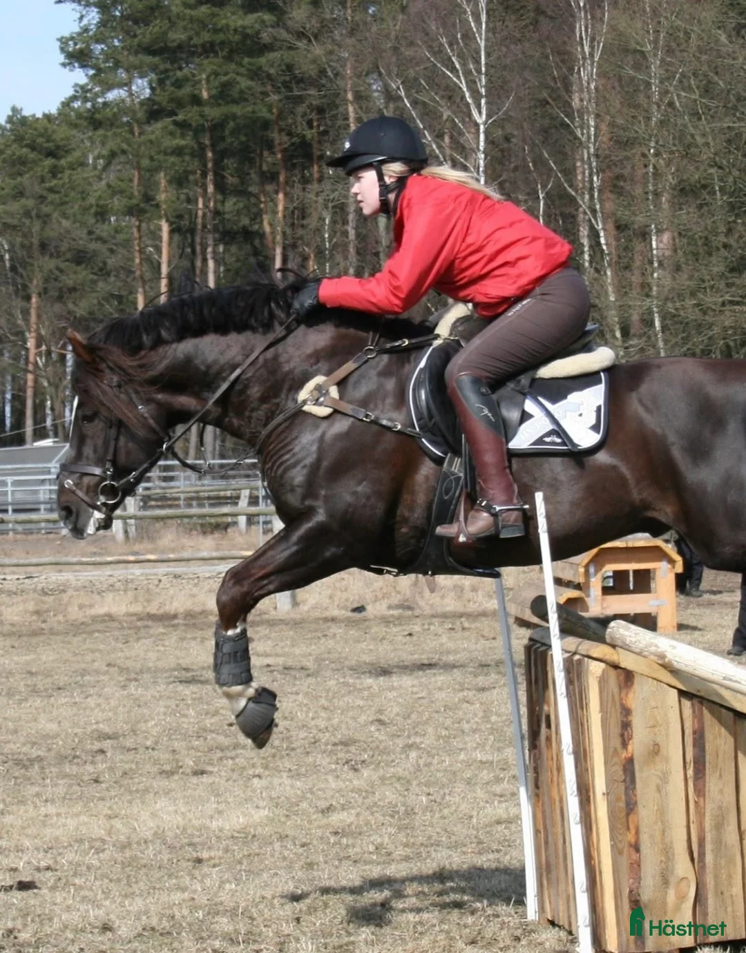 Galleribild {{count}}