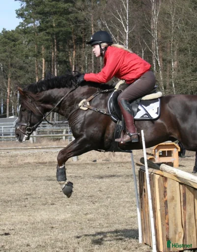 Galleribild {{count}}