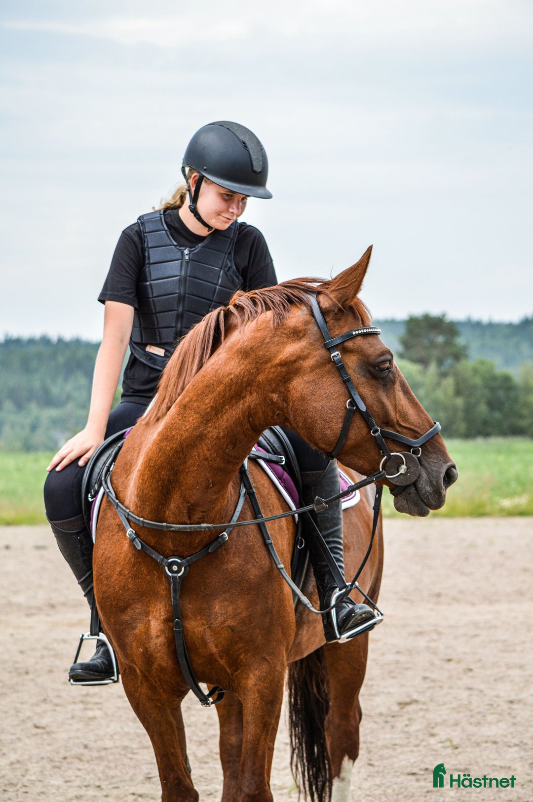 Allround hästar till salu: BLACK FRIDAY! Sto med stor personlighet nu 80 000  i Matfors - Annons 3