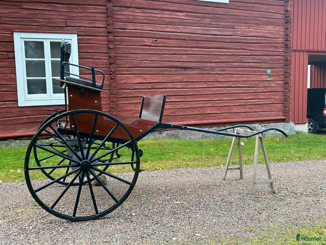 Körvagnar körning till salu: Tidaholmsgigg - Annons 2
