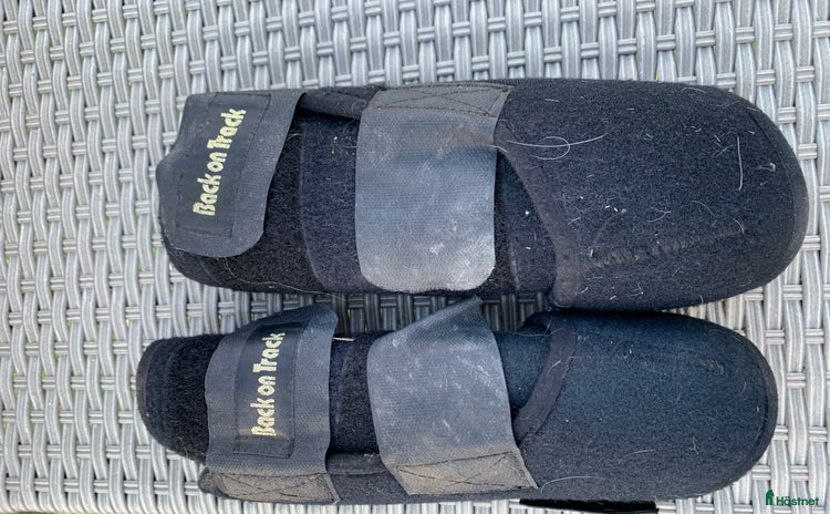 Benskydd hästutrustning till salu i Åshammar - Annons 3