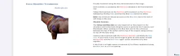 Övrig Hästutrustning hästutrustning till salu: Equi release PRO - Annons 8