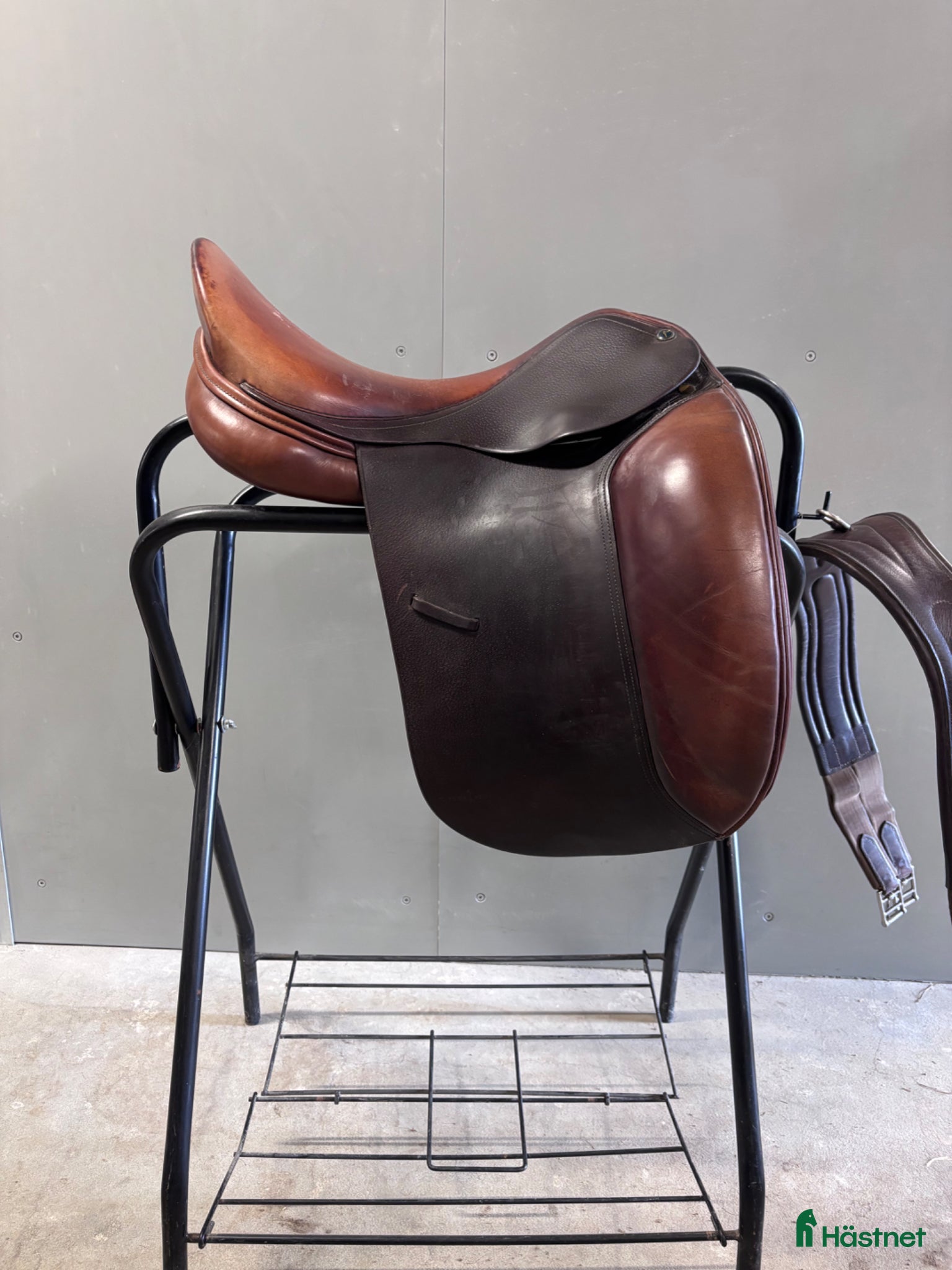 Sadlar hästutrustning Dominus dressyr - Annons 3