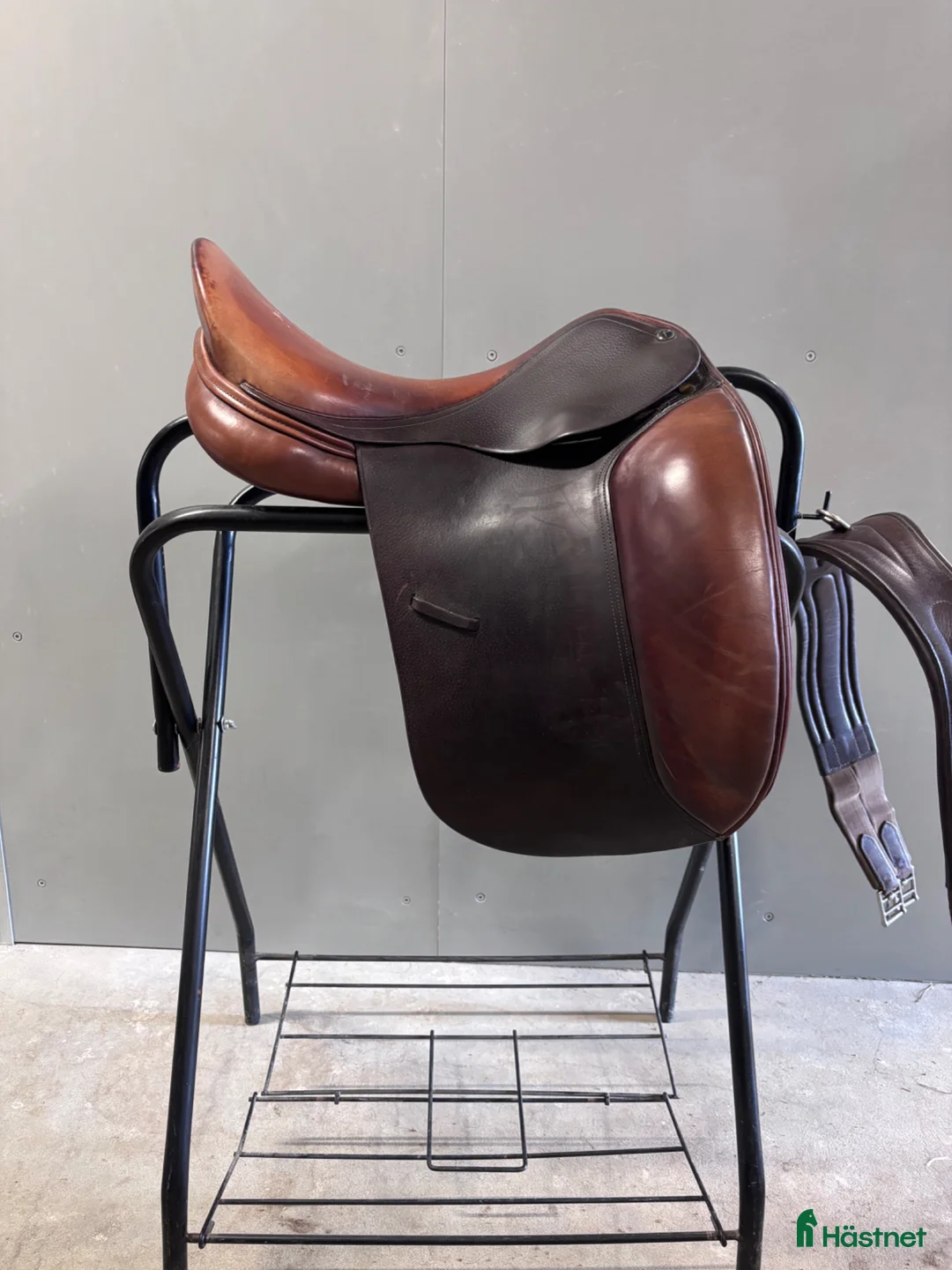 Sadlar hästutrustning till salu: Dominus dressyr - Annons 1