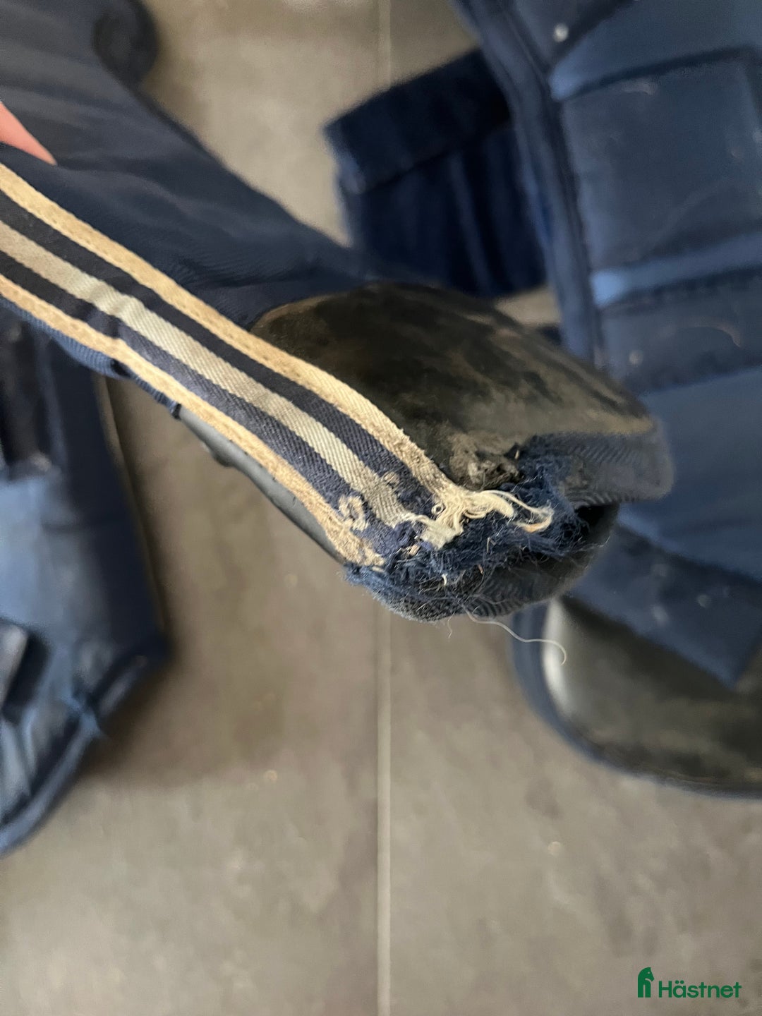 Benskydd hästutrustning till salu: Transportskydd strl F i Växjö - Annons 5