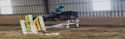 Allround hästar till salu: Lovely allrounder type 160cm - Annons 8