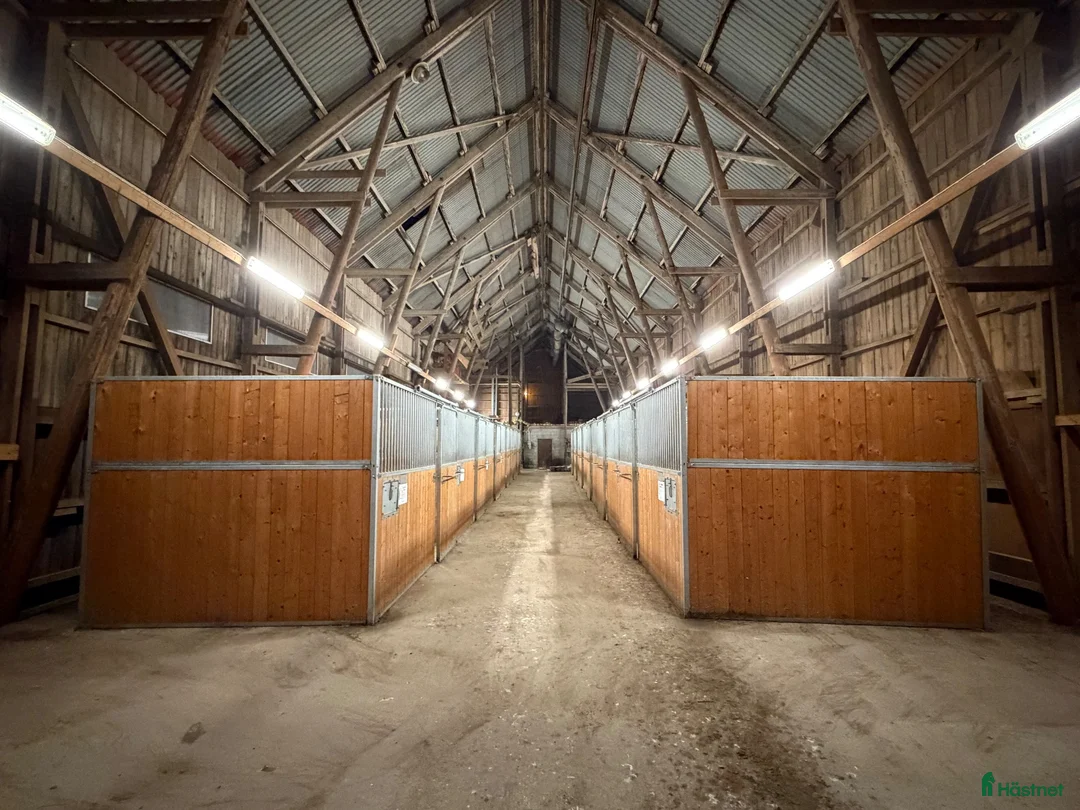 Stallinredning, stängsel & gård övrig utrustning till salu: Hästboxar säljes - Annons 1