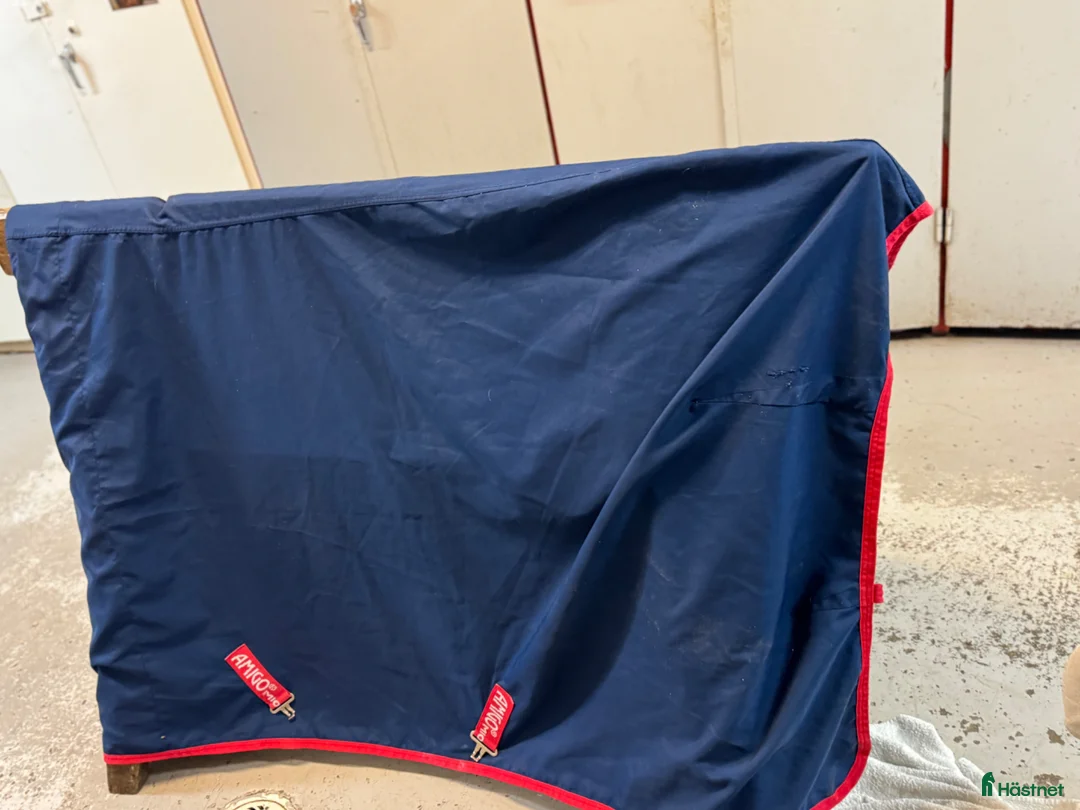 Täcken hästutrustning till salu: Mio Stable Sheet - Annons 6