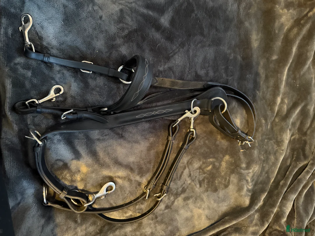 Sadeltillbehör hästutrustning till salu: Fin Treadstone förbygel - Annons 3