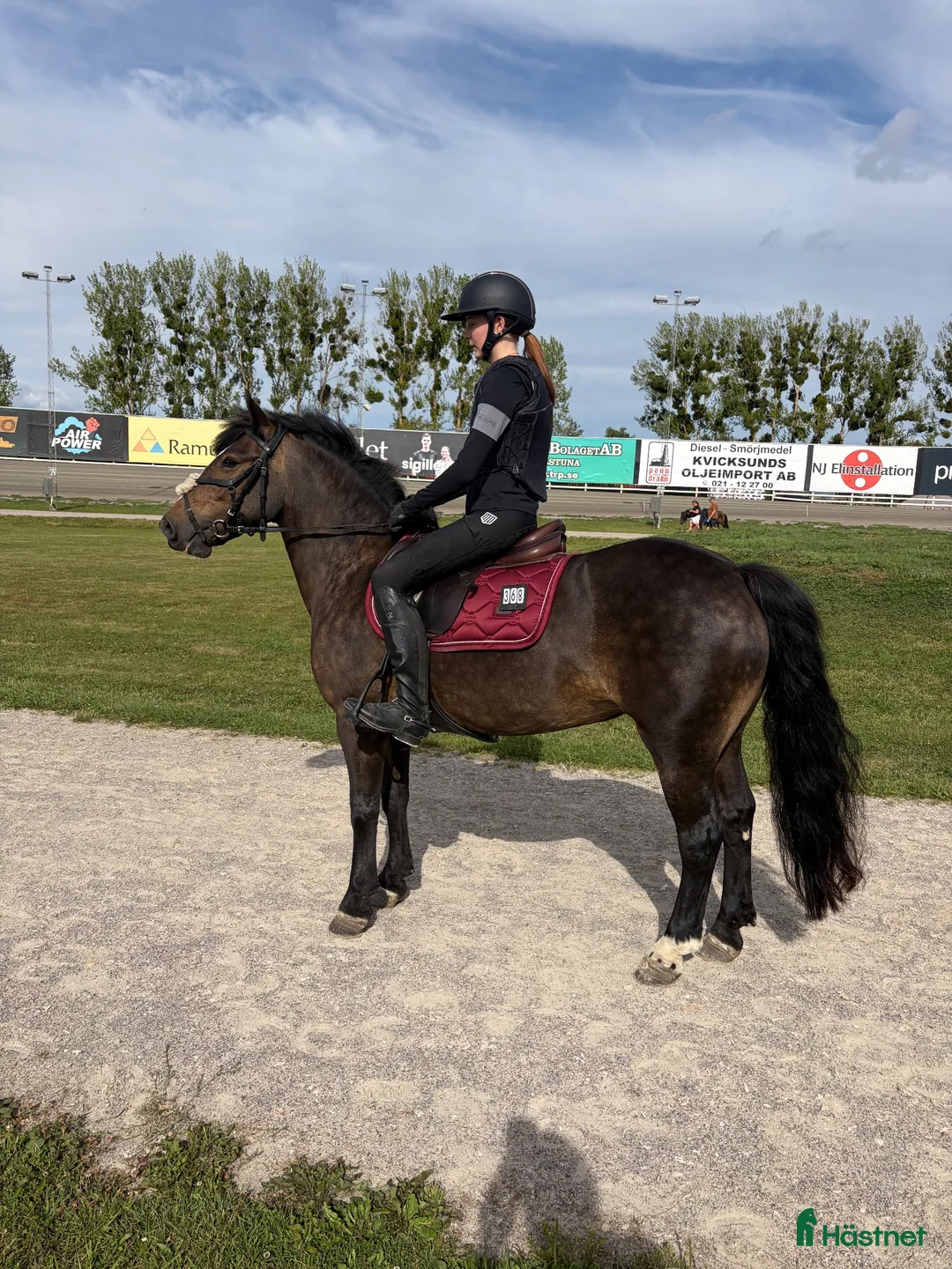 Hoppning hästar till salu: Super trevlig B-ponny  - Annons 2
