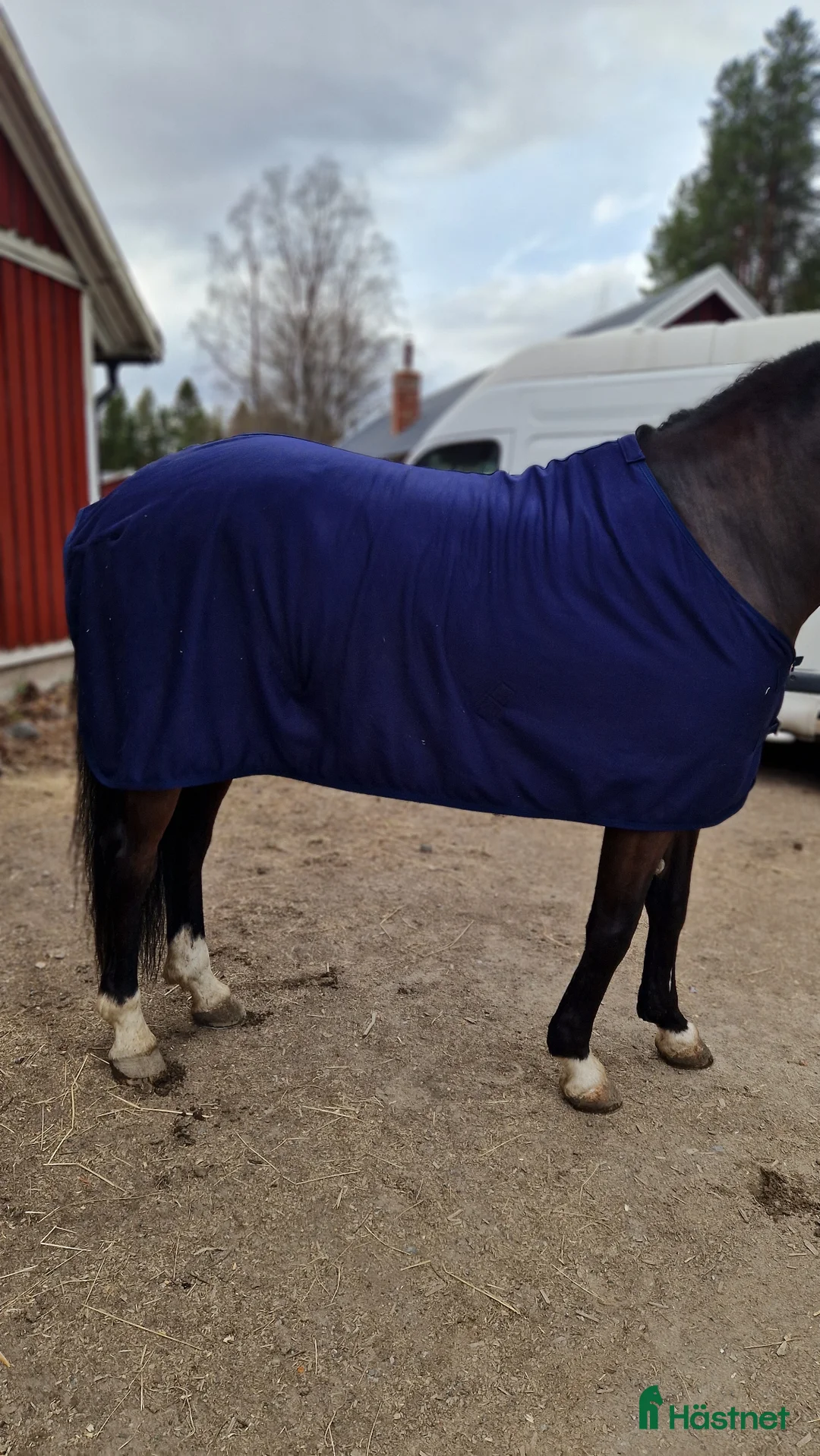 Täcken hästutrustning till salu: Fleecetäcke från Horze med glitter - Annons 2