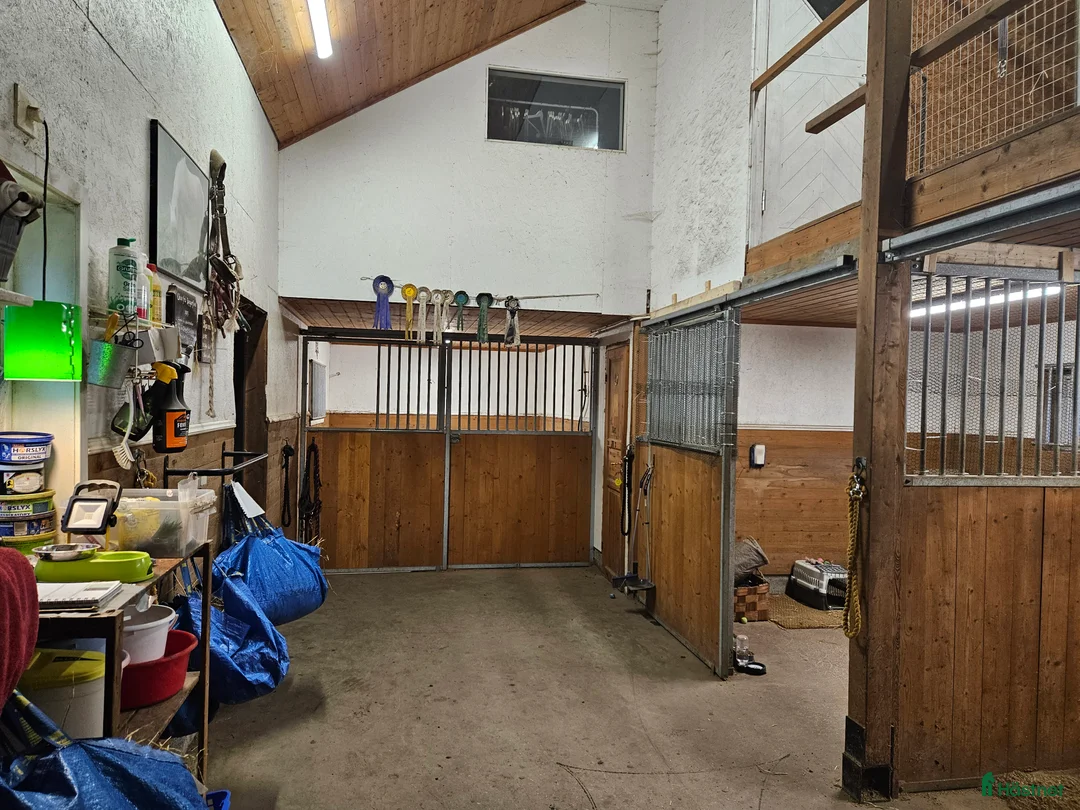  stallplats finnes: Box uthyres.  i Södertälje - Annons 4