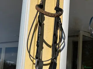 Träns hästutrustning Dyon träns - Annons 4