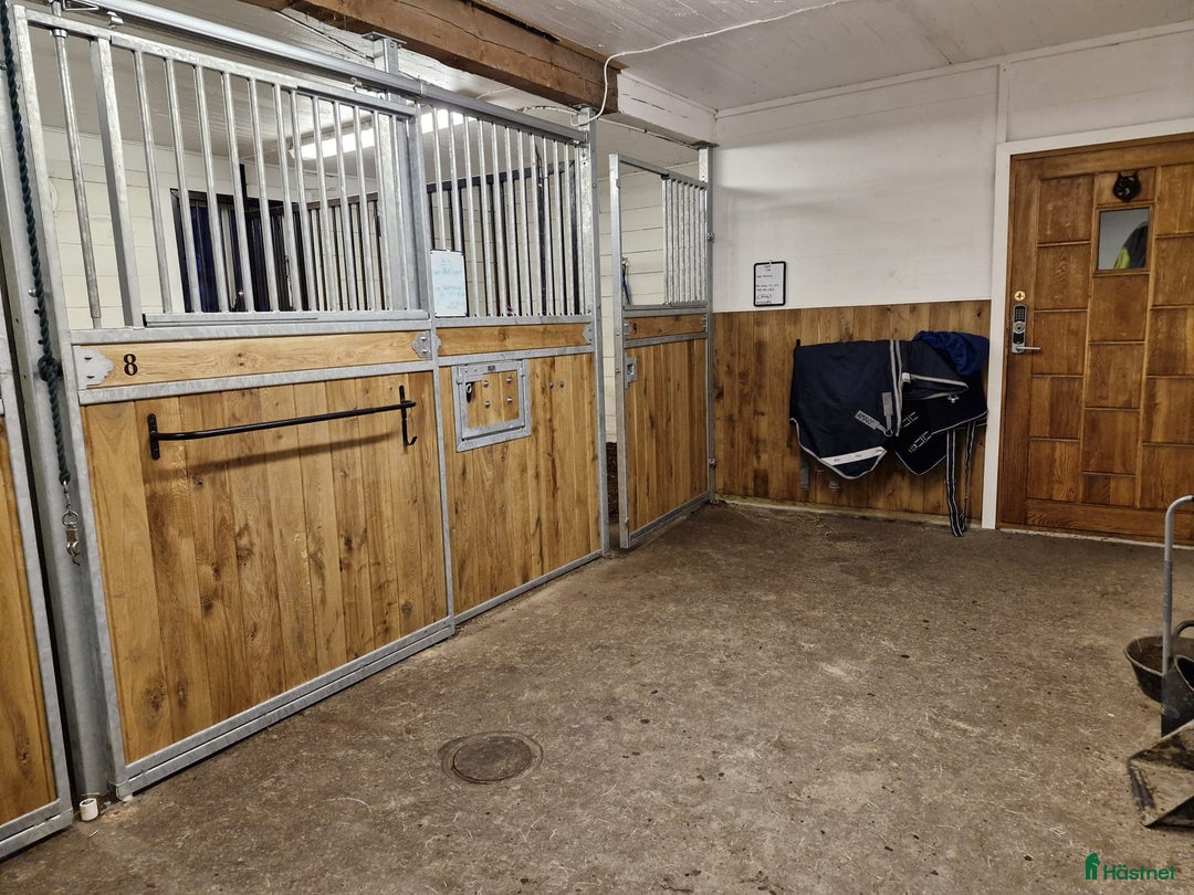  stallplats finnes: Österhaninge Stallplats  i Österhaninge - Annons 1