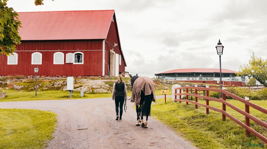  stallplats finnes: Lediga stallplatser på fullutrustad anläggning🐎 i Linköping - Annons 5