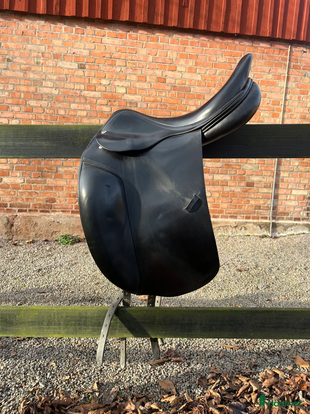 Sadlar hästutrustning till salu: Amerigo Alto - Annons 1