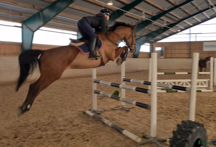 Galleribild {{count}}