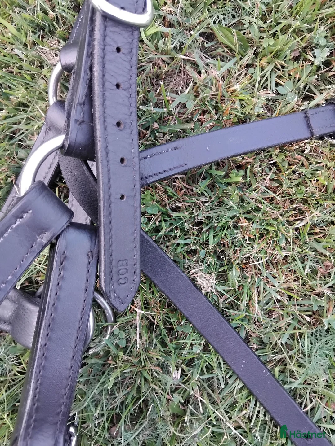 Träns hästutrustning till salu: Sidepull cob - Annons 2