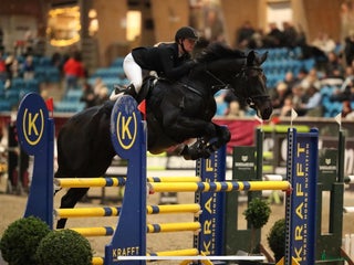 hästar Beautiful mare by Darco - Annons 16