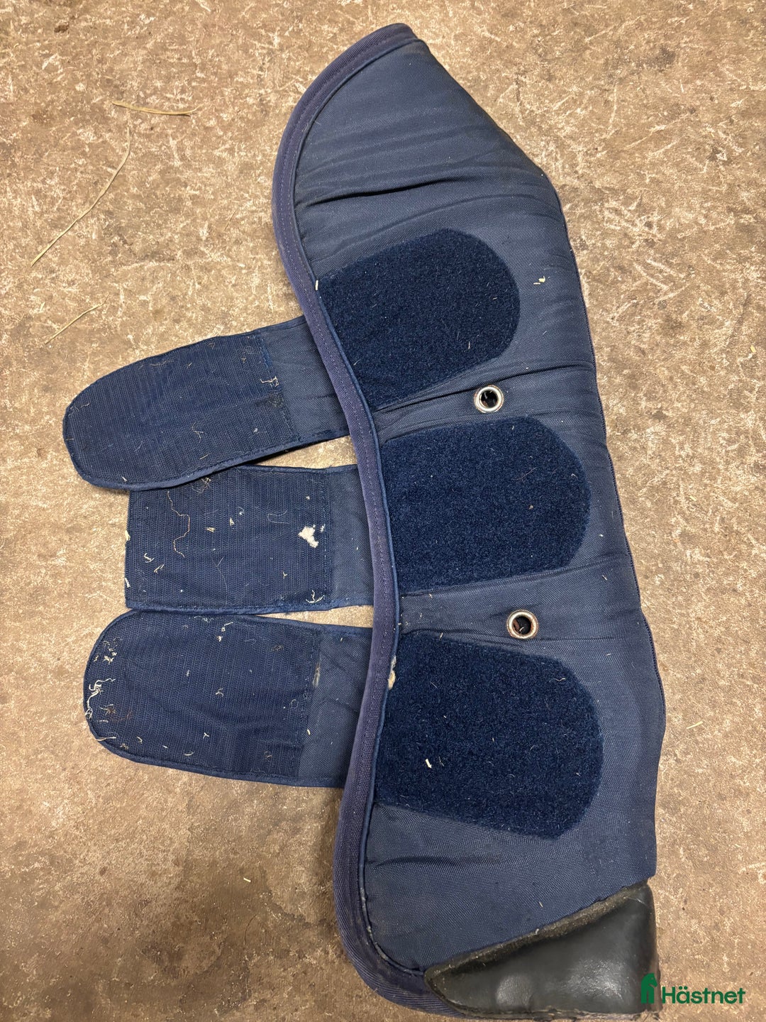 Benskydd hästutrustning till salu: Kingsland transportskydd  i Vinninga - Annons 23