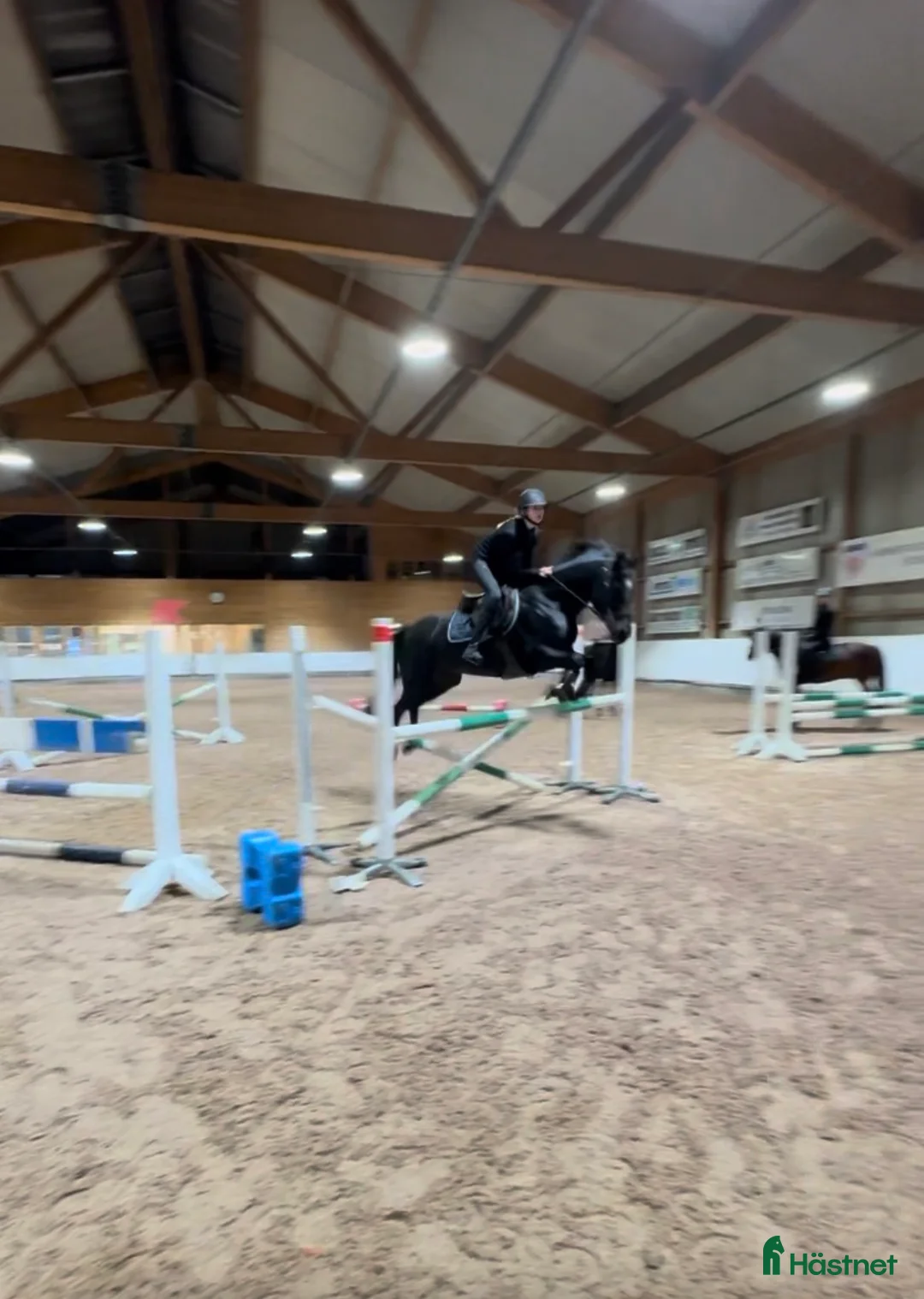 Hoppning hästar sökes: 13 års jente søker D-ponny i Hønefoss - Annons 1