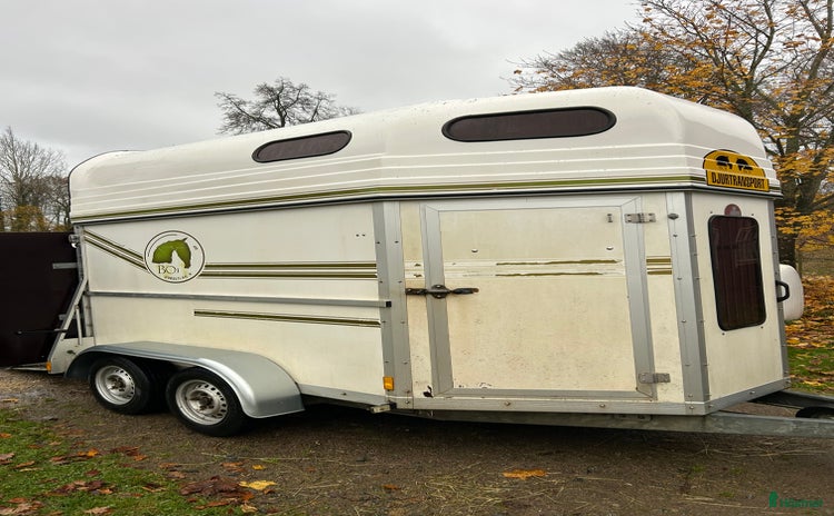 Hästtransporter  fordon & transport till salu i Värnamo - Annons 14