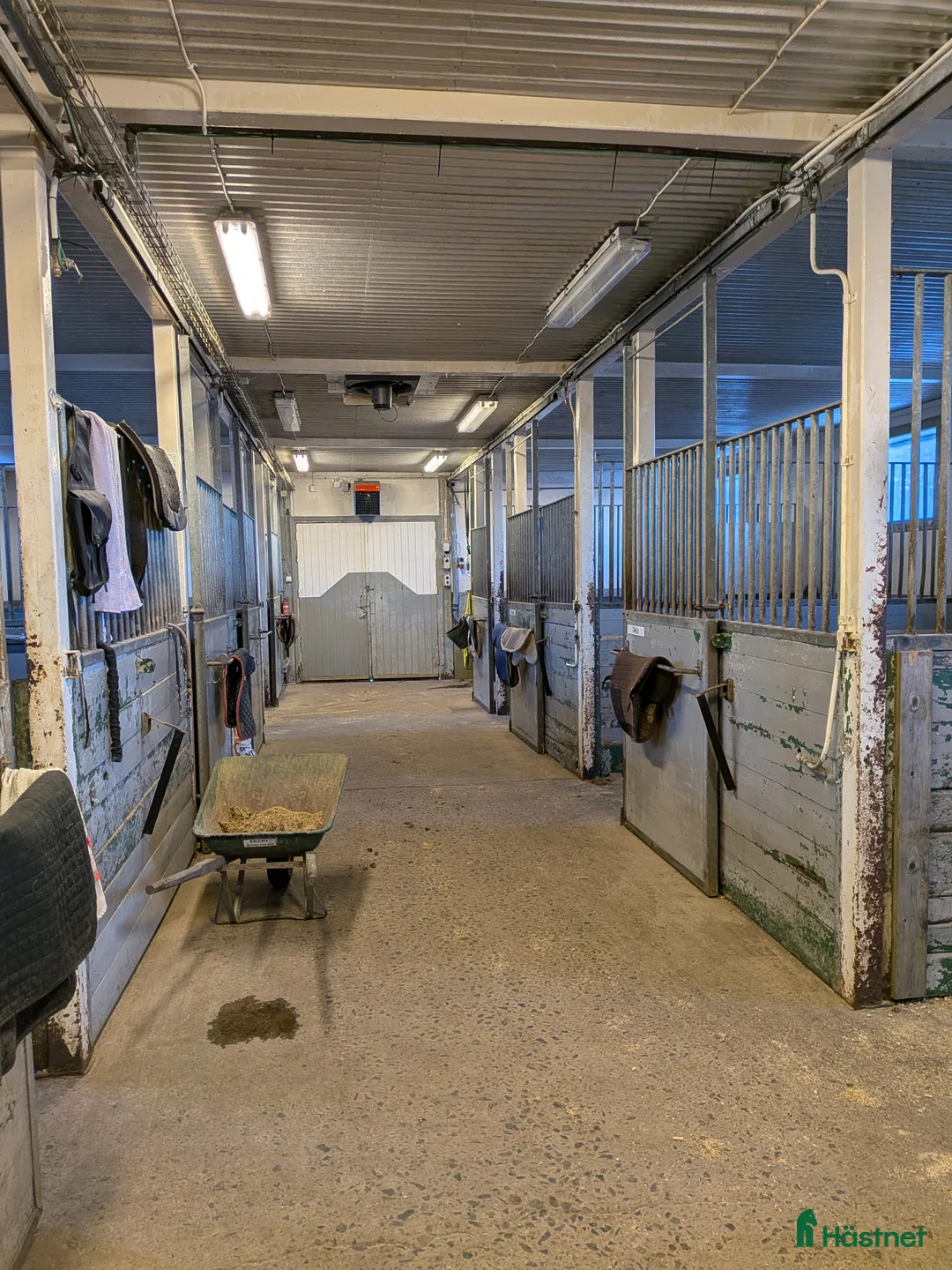  stallplats finnes: Stallplats finns i Kungsbacka - Annons 3