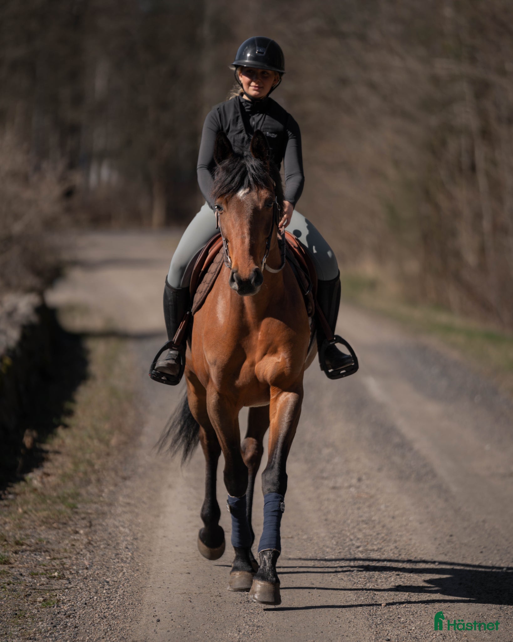  hästar Mi Adele  - Annons 1