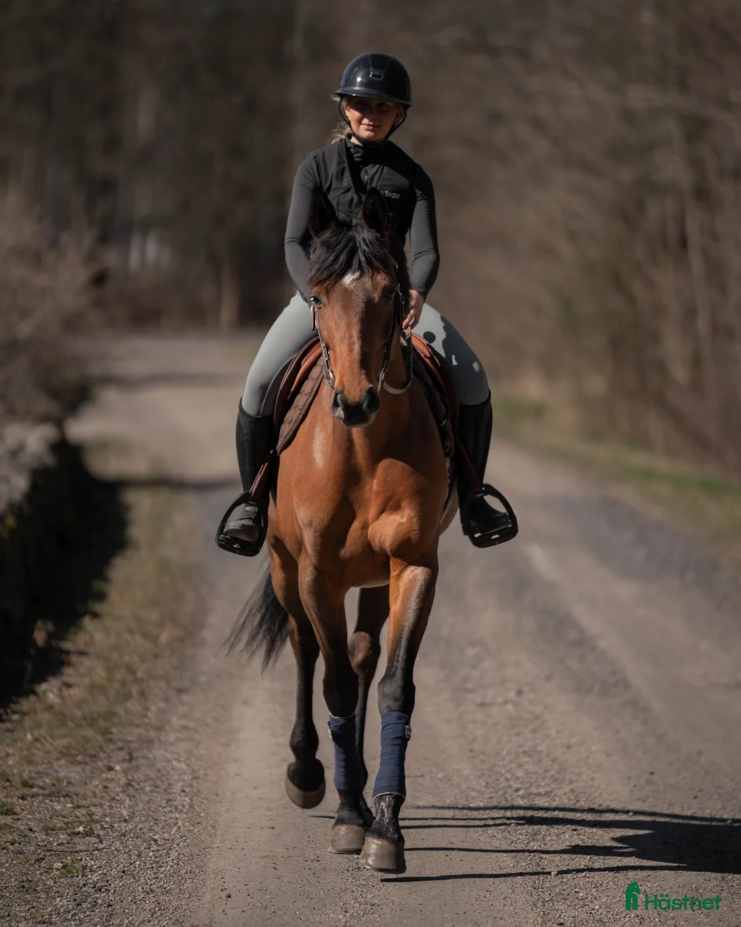 Allround hästar till salu: Mi Adele  - Annons 1