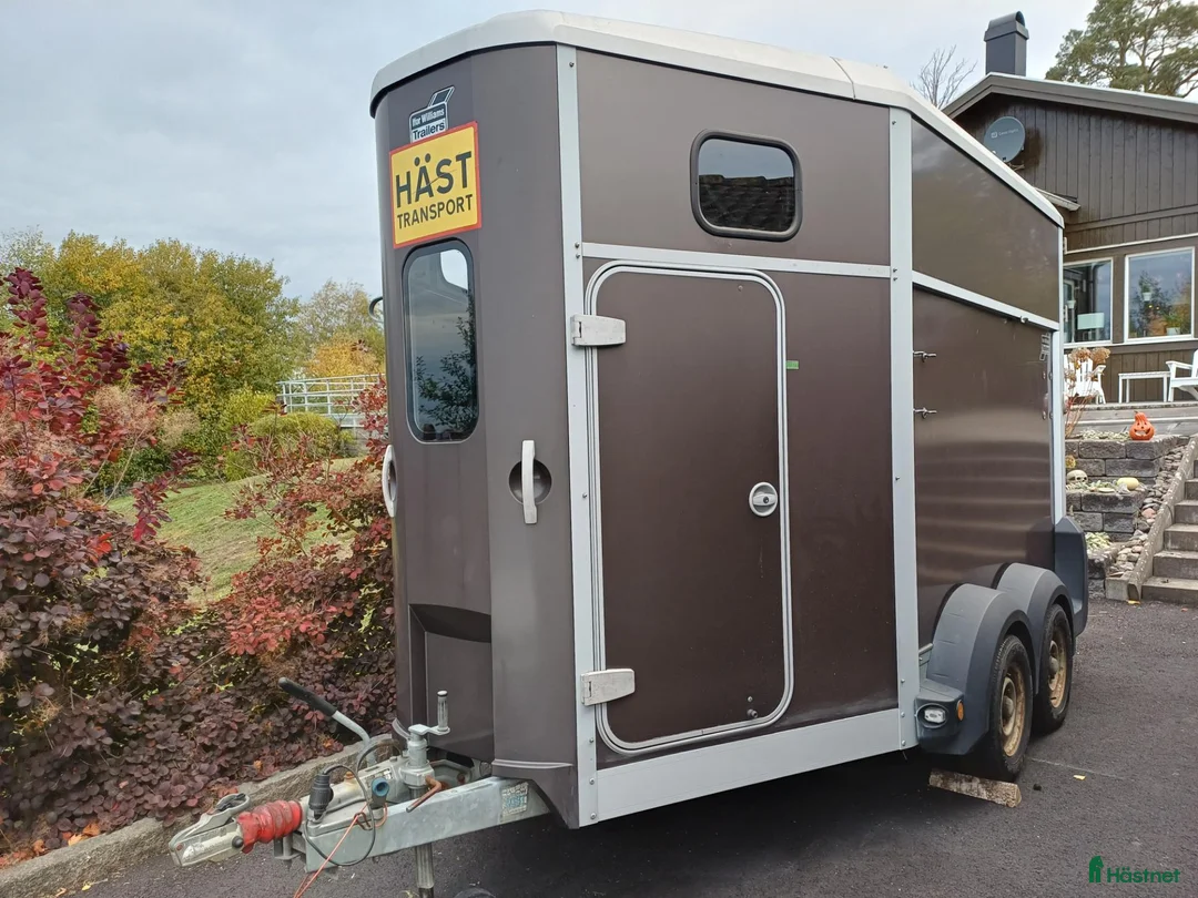 Hästtransporter  fordon & transport till salu: Ifor Williams HB511 fronturlastning och vinterhjul - Annons 1