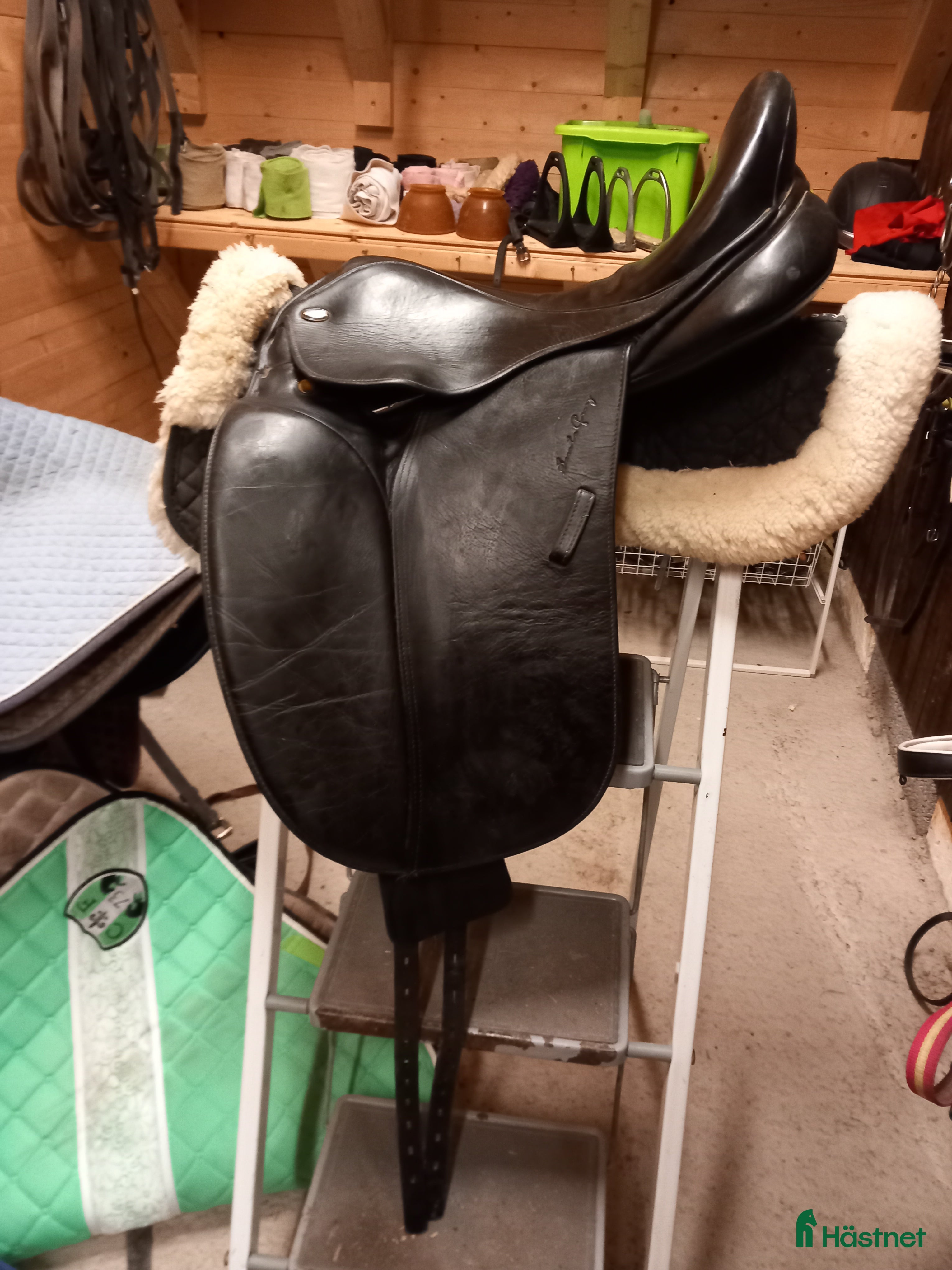 Sadlar hästutrustning Välvårdad Santa Cruz Arthur - Annons 18