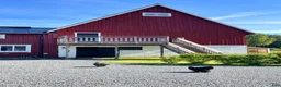  stallplats finnes: Plats i litet stall utanför Jönköping  - Annons 3
