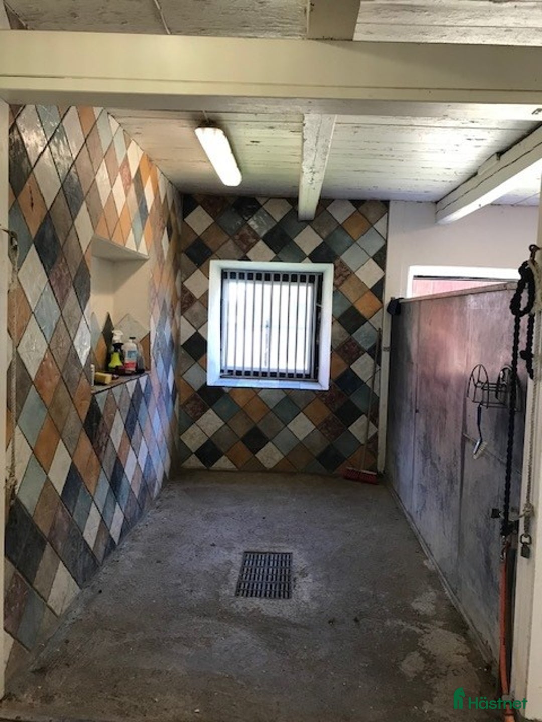 stallplats finnes: Lösdrift för sto, 6km från Enköping i Enköping - Bild 6