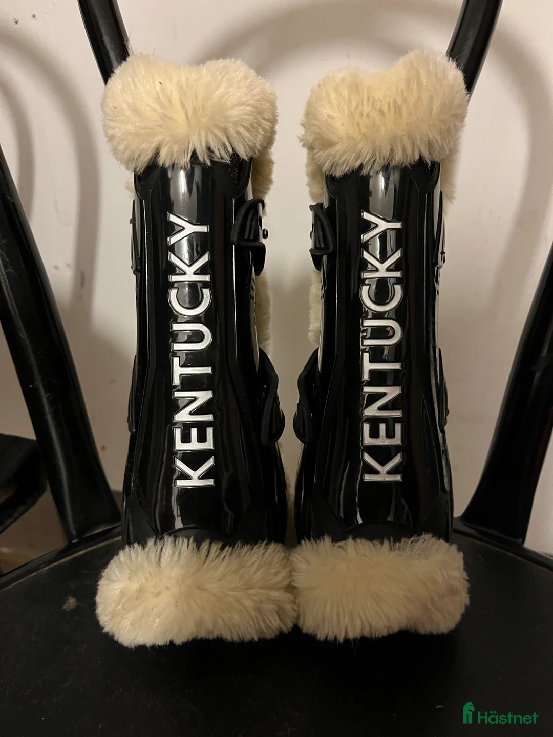 Benskydd hästutrustning till salu: Kentucky Benskydd - Annons 2