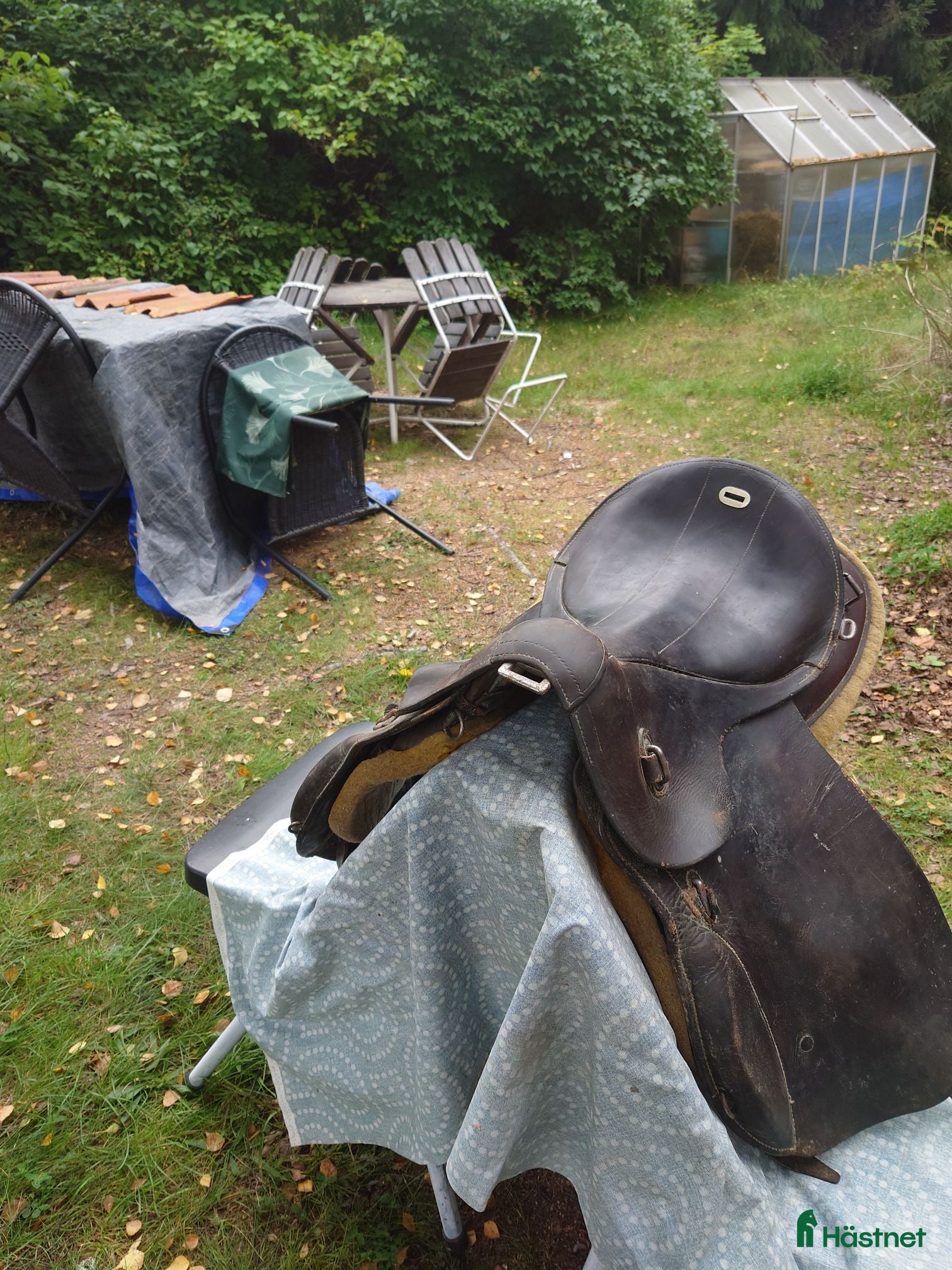 Sadlar hästutrustning storlek 2 vid bomvidd - passar grövre hästar, kallblod - Annons 5