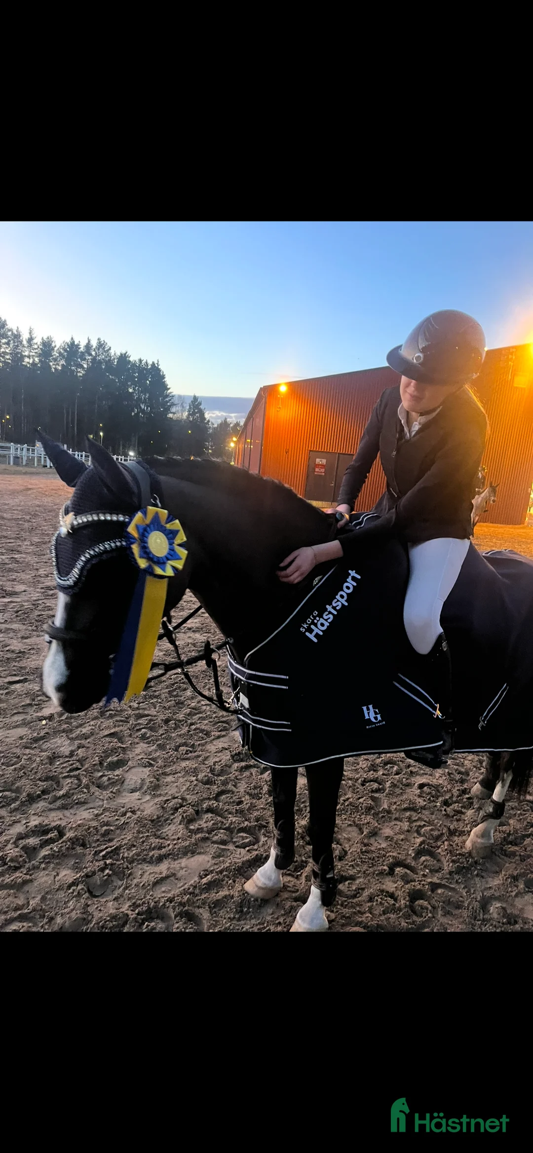  hästservice finnes: Inridning, tillridning och utbildning av ponnys  i Lerum - Annons 4