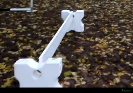 Stallinredning, stängsel & gård övrig utrustning till salu: Cavalettiblock 4 st 50 cm - Annons 1