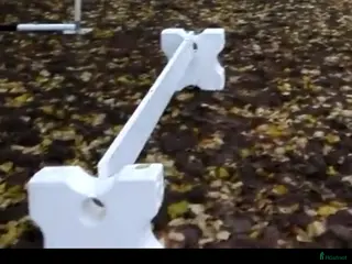 Stallinredning, stängsel & gård övrig utrustning till salu: Cavalettiblock 4 st 50 cm - Annons 1