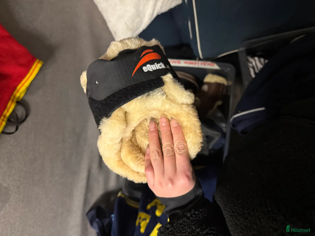 Benskydd hästutrustning till salu: Bakbenskydd av olika märken  - Annons 9