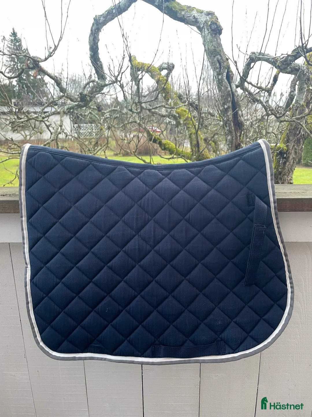 Schabrak & Vojlockar hästutrustning till salu: Allroundschabrak i Jönköping - Annons 2