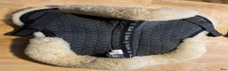 Sadeltillbehör hästutrustning till salu: Fårskinnspadd Mattes - Annons 1